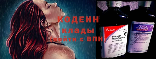 кокс Арсеньев